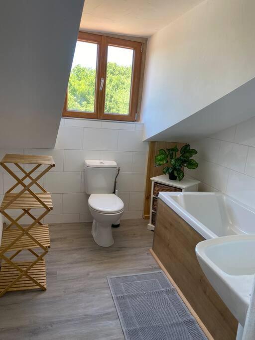 Spacious 1 Bed Home With Shared Pool Champagnac-la-Riviere Экстерьер фото